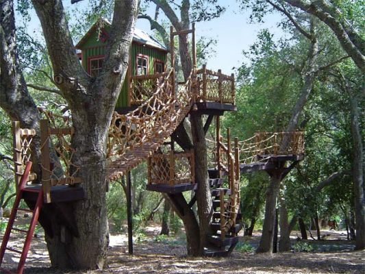 Tree Top Inn